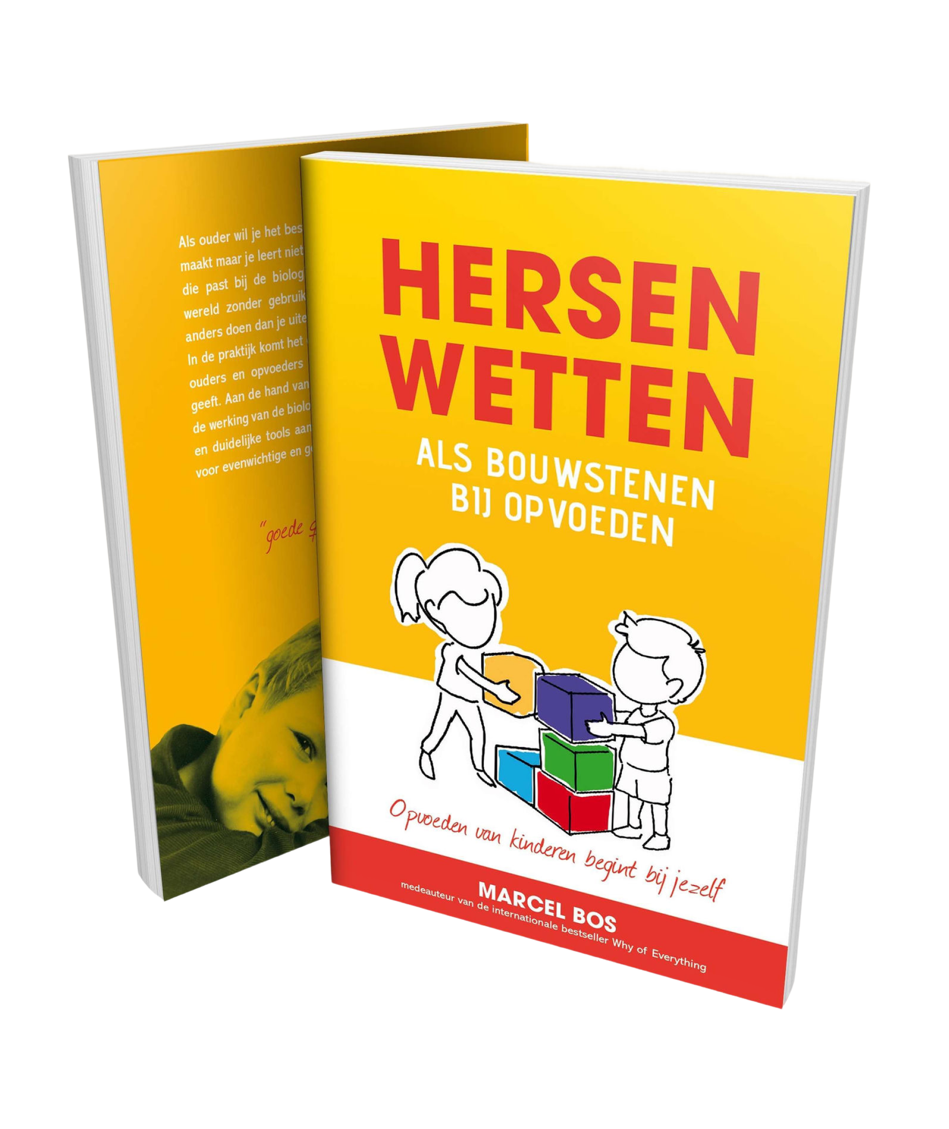 boek hersenwetten als bouwstenen bij opvoeden